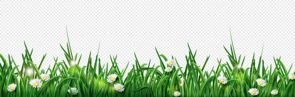 カモミールの花 太陽光ベクトルイラストと隔離された緑の芝生の芝生の境界線 現実的な春のフィールドフッターライン 夏のエコラインテクスチャパターン 白いデイジー 太陽のオーバーレイとフレーム行 — ストックベクタ