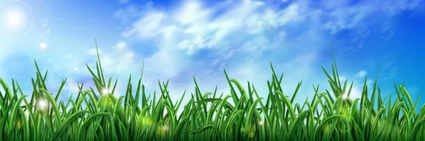 Mavi Gökyüzünün Altında Gerçekçi Yeşil Çimenler Tarlada Yetişen Taze Otların — Stok Vektör