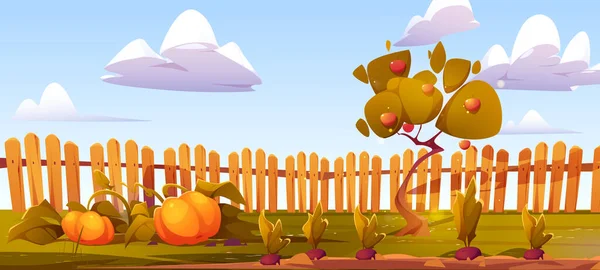 Frutas Desenhos Animados Horta Ilustração Vetorial Colheita Macieira Abóbora Beterraba —  Vetores de Stock