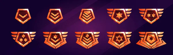 Militaire Rang Badges Leger Insignes Pictogrammen Bronzen Emblemen Voor Oorlogsspel — Stockvector