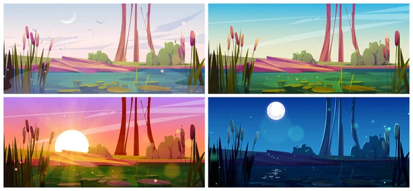 清晨或日落矢量背景附近的沼泽和尾巴 在公园里有突起的池塘 在河流的水面上闪烁着幻想卡通画 有飞鸟的野生自然景观 — 图库矢量图片