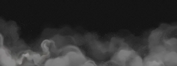 灰粉末雾在黑色透明的背景上 烟雾云纹理矢量效应 雾气尘埃空气插图 孤立的现实的黑雾蒸汽抽象设计 灰煤颗粒流动背景 — 图库矢量图片