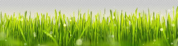 太陽の光と現実的な緑の芝生の芝生の境界線 ボケ反射とポスターのためのイースター晴れた公園フィールドフレーム 屋外夏のふわふわの朝のグラのパノラマ 農場のブドウに新鮮な芽をぼかす — ストックベクタ