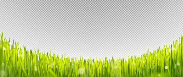 Gazon Vert Réaliste Bordure Herbe Avec Lumière Soleil Cadre Terrain — Image vectorielle