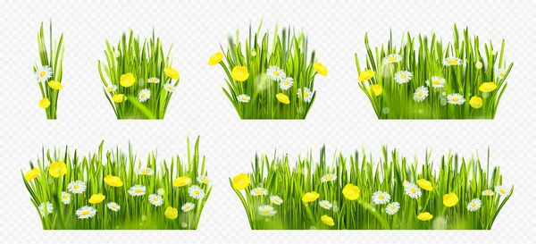 透明な背景に花の孤立した境界線と現実的な春の緑の芝生のフィールド カモミールの自然フレームセットと黄色の床の牧草地 太陽の光と野生の草原の束コレクション — ストックベクタ
