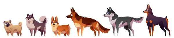 Cartoon Set Dog Breeds Isolated White Background Vector Illustration Doberman — Stock Vector