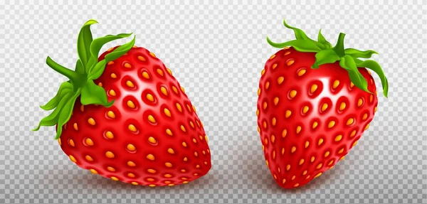 Flyga Realistiska Isolerade Jordgubbar Frukt Ikon Som Transparent Bakgrund Röda — Stock vektor