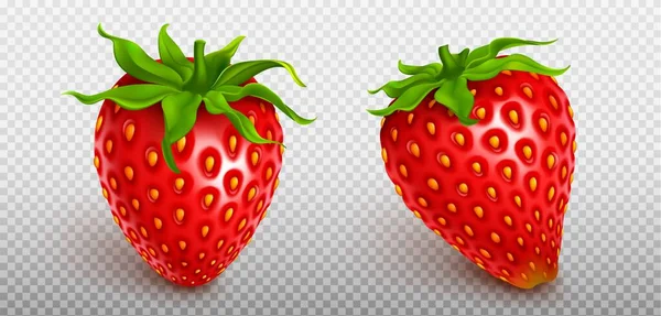 Latać Realistyczne Odizolowanych Ikona Owoców Truskawki Zestaw Przejrzystym Tle Czerwony — Wektor stockowy