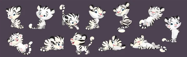 Cute Biały Tygrys Dziecko Kreskówki Wektor Zestaw Znaków Mały Taniec — Wektor stockowy
