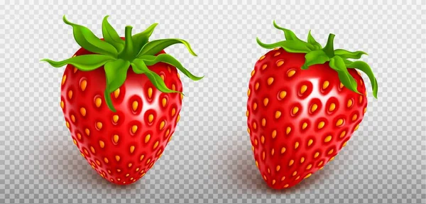 Fly Realistic Isolated Strawberry Fruit Icon Set Transparent Background Red — Stock Vector