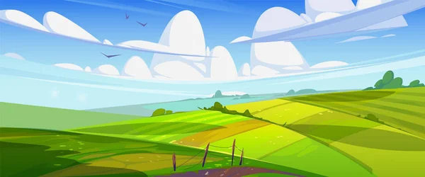 阳光明媚的夏天 绿色的田野 关于美丽的乡村自然 乡村地区 茂密的草地或农田上生长的农作物 蓝天云雀的病媒漫画 — 图库矢量图片