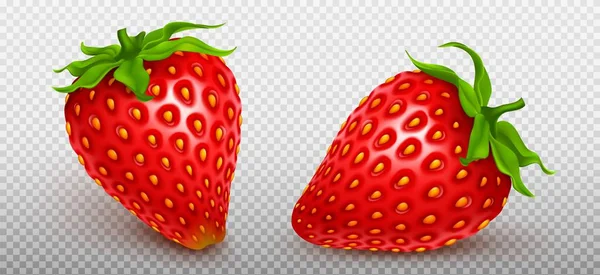 Fresas Fruta Roja Aislada Sobre Fondo Transparente Comida Orgánica Fresca — Vector de stock