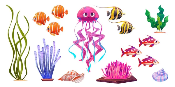 귀엽고 아름다운 산호와 해파리 그림은 배경에 고립되어 있습니다 바닥에 물고기와 — 스톡 벡터