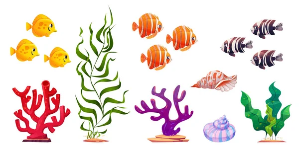 Set Cartoni Animati Pesci Esotici Alghe Verdi Conchiglie Coralli Colorati — Vettoriale Stock