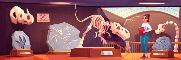 博物馆里的女性指南 带有化石恐龙卡通人物 霸王龙的骨骼展示在基座和考古学家的历史上 具有侏罗纪动物头骨和骨骼的史前画廊内部 — 图库矢量图片