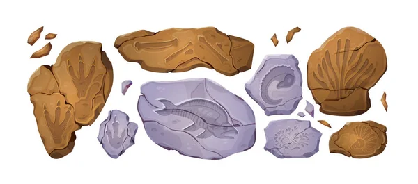 Pedras Fósseis Com Pegada Dinossauro Silhuetas Plantas Antigas Esqueletos Animais — Vetor de Stock