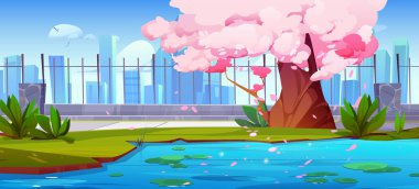 Şehir parkının bahçesinde çit vektör geçmişi olan bir gölün yanında sakura ağacı. Pembe çiçekli Japon kiraz çiçekleri ve bahar kasabası manzarasında düşen taç yaprakları. Gölde yeşil su zambağı