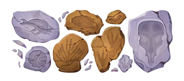 Σύνολο Κινουμένων Σχεδίων Από Απολιθώματα Προϊστορικά Ζωικά Και Φυτικά Αποτυπώματα — Διανυσματικό Αρχείο
