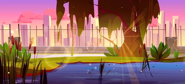 落日城中的沼泽 带芦苇和草绿色的卡通矢量 黄昏时分 水塘靠近金属栅栏的自然景观 户外全景 明亮的粉色天空 阳光和城市的天际 — 图库矢量图片