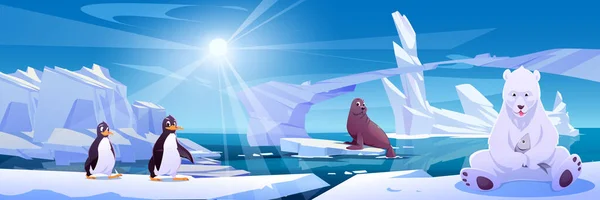 Bär Auf Eisberg Der Nähe Von Pinguin Und Robbe Arktische — Stockvektor
