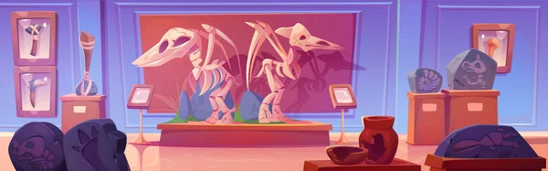博物館のベクター漫画のイラストでの恐竜の骨格の化石 ホールルームで天然台座の上にディノ動物の骨や頭蓋骨の展示 先史時代の古生物学ギャラリー空のインテリア — ストックベクタ