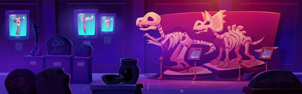 Fossiele Dinosaurus Skelet Nacht Geschiedenis Museum Cartoon Illustratie Jurassic Dino — Stockvector