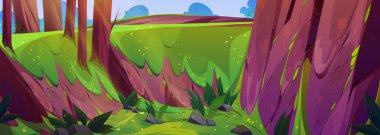 Çizgi film orman manzarası, eski ağaçlar ve dik yamaçlar. Yağmur ormanı arka planının vektör çizimi, tropikal bitkiler, dağ vadisinde yeşil yosun ve çiçekler, orman patikası