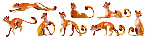 Cartoon Zoo Cheetah Saltar Correr Conjunto Vectores Animal Africano Aislado — Vector de stock