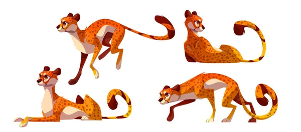 Farklı Pozlardaki Çita Karakterli Çizgi Film Setleri Beyaz Arka Planda — Stok Vektör