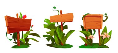 Bitkiler ve çiçeklerle dolu orman tahtası. Tahtadan yapılmış ve yeşil çimlerle çevrili işaret direği veya metin afişinin çizgi film vektör çizimi. Etiket yazmak için tropikal çerçeve ve paneller.