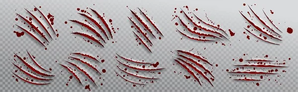 Kaplan Pençesi Kan Damlası Vektör Saldırısıyla Çizildi Kırmızı Arka Planda — Stok Vektör