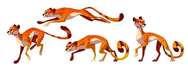 Conjunto Chita Leopardo Jaguar Gato Selvagem Selva Tropical África Salto —  Vetores de Stock