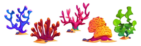 Морские Водоросли Кораллы Цветные Подводные Векторные Иллюстрации Океанские Рифы Аквариумные — стоковый вектор