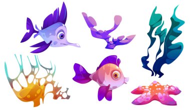 Su altı yosun bitkisi, balık ve mercan taşıyıcısı. Deniz yosunu, ot ve vahşi hayvan izole edilmiş karikatür flora clipart koleksiyonu. Turuncu, mor ve pembe deniz altı tropikal süsleme elementleri.