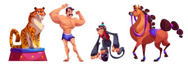 Sirkin güçlü adamı ve eğitimli hayvanları beyaz arka planda izole edilmiş. Atletin kaslarını gösteren vektör karikatür çizimi, podyumda oturan kaplan, tek tekerlekli bisiklete binen maymun, arenada yürüyen at