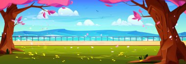 Bahar Parkı 'nda göl suyunun yanında güneşli bir gün. Havada uçan kiraz çiçeklerinin vektör karikatür çizimi, eski kiraz ağaçlarının gölgesinde çiçeklerle yeşil çimenler, bulutlar ve mavi gökyüzündeki kuşlar