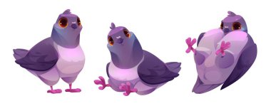 Cute pigeon cartoon character with smiling face emotion in different poses. Vector illustration set of funny wild dove standing, sitting and laying on back. Collection of bird mascot with blue wings. clipart