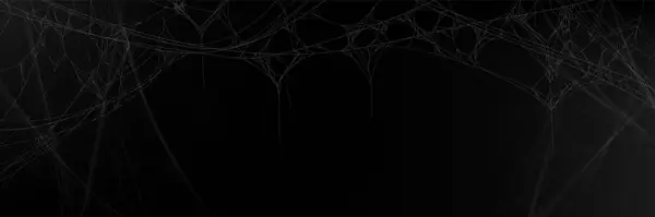 ハロウィーンのコンセプトのための現実的な蜘蛛のウェブ背景 ブラックバックドロップ上のベクトル怖い不気味なコブウェブネット 暗闇に白い薄い粘着性がある糸ラインが付いている不気味な装飾の質 昆虫のためのアラクニッドトラップ — ストックベクタ