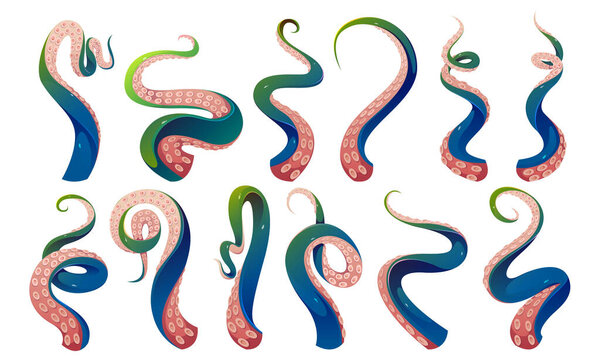 Tentacle leg vector. Octopus monster arm isolated cartoon set. Giant kraken marine scary blue and green gradient drawing png. Underwater ocean squid creature part asset collection for aquatic game