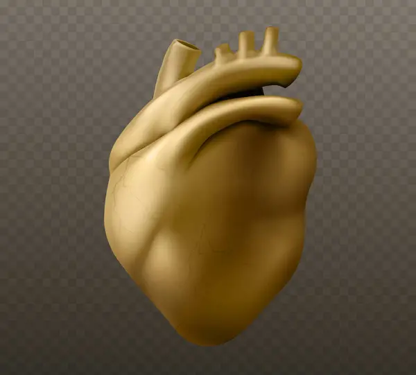 Golden Human Heart Sculpture Model Realistic Vector Illustration Gold Metal Royalty Free Stock Vectors