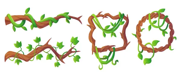长满藤蔓的枝条 圆形和正方形的框架与绿色的爬行植物和叶子 热带攀登植物游戏界面的卡通矢量图解集 图库矢量图片