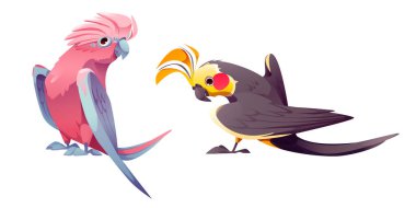 Şirin bir papağan karakteri. İzole edilmiş orman kuşu taşıyıcısı. Mutlu sarı ve pembe çizgi roman çizim seti. Hayvanat bahçesi oyunu için çılgın neşeli tropikal kuş ikonu. Arkadaş canlısı ifadeli farklı bir varlık