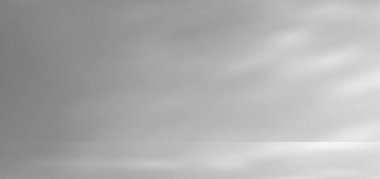 Yaprakları gölgeli ve güneş ışığı arkaplanlı beyaz stüdyo. Güneş ışığı ve yaprak doğası bg ile kaplı 3D gri oda. Beton döşeme sahnesi. Yüzey dokusunda güzellik ve kozmetik ekran