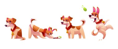 Köpek duyguları beyaz arka planda izole edilir. Jack Russell Terrier 'in vektör karikatür çizimi yalnız ve üzgün oturan, topları koklayan, ayakta duran, aktif olarak top oynayan sevimli evcil hayvan arkadaşı.