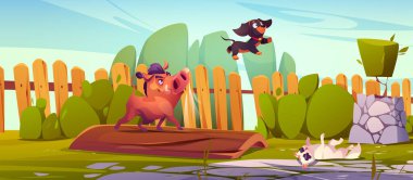 Şeytani çizgi roman yaban domuzu çitli arka bahçedeki tahta tahtada dururken beyaz kedi şaşı gözlerle yere yatarken köpek fırlatıyor. Bahçe manzarası. Kızgın kahverengi yaban domuzu ve kafası karışmış hayvanlar..