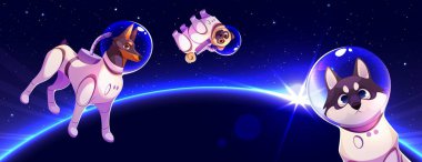 Astronot köpekler uzayda uçuyor. Gezegen etrafında yüzen cam miğferli şirin hayvanların vektör çizimi, yıldızlar ve gece gökyüzünde parlayan parlak ışık, pug, dobermann ve iri yarı evcil hayvanlar.