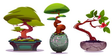 Bonsai ağaçları beyaza saçılmış. Taşta ve seramik vazolarda çiçekli egzotik yeşil bitkilerin vektör çizimi, geleneksel Japon bahçe tasarımı, manzara tasarımı