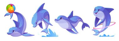 Beyaz üzerine izole edilmiş sevimli yunus karakterleri. Suda oynayan komik deniz hayvanlarının vektör karikatür çizimi, oyuncak topla zıplamak, kuyrukta hula hoop yüzüğü, gülümseyen deniz memelisi, hayvanat bahçesi akvaryumu gösterisi