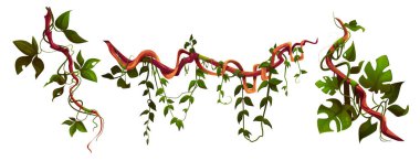 Sarmaşık dalları, kalın dalları ve tropikal canavarlarla dolu orman çiçekleri, tırmanma bitkisinin yeşil yaprakları. Doğal botanik veya oyun tasarımı için egzotik yağmur ormanları flora dekoratif elementleri