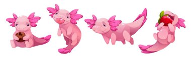 Beyaz arkaplanda izole edilmiş şirin axolotl karakterleri. Kawaii tarzı pembe semender hayvanların yüzme, dil gösterme, kurabiye ve çilek yeme, eğitim maskotu